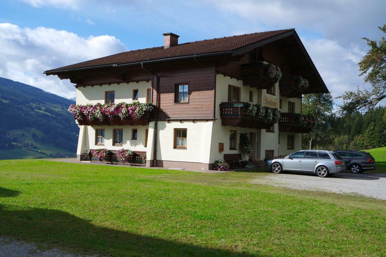 Gaestehaus Davidbauer Экстерьер фото